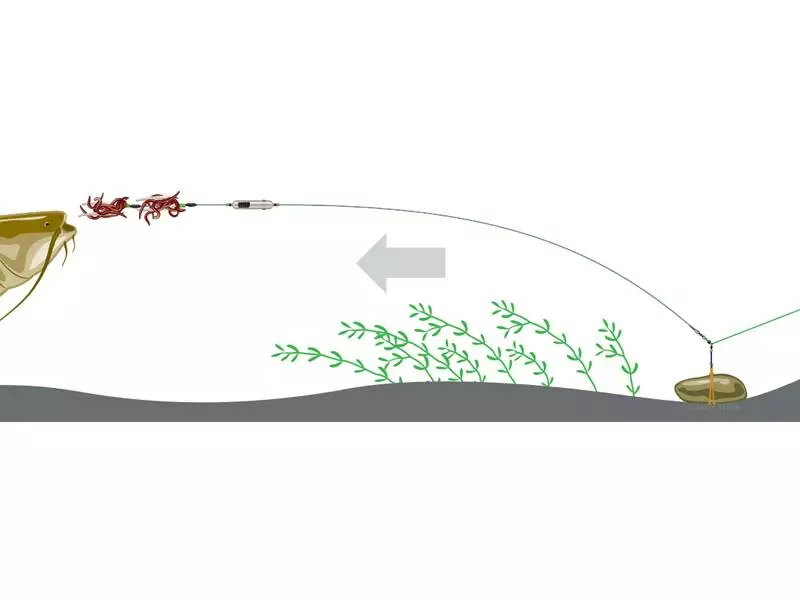 MAD CAT Adjusta Profi River Rig - Worm & Squid 4 MAD CAT Adjusta Profi River Rig - Worm & Squid - Afbeelding 2